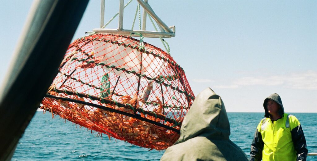 La pêche au centre de la vie quotidienne de Tête-à-la-baleine. (Photo : Samuel Bellefleur)
